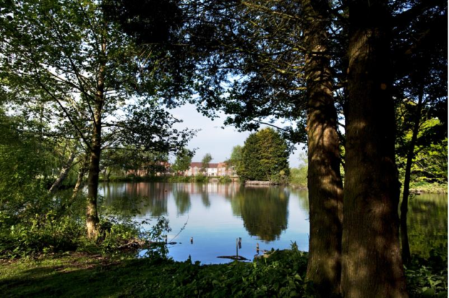 Lakeview Holiday Cottages self catering accommodation - Private lake